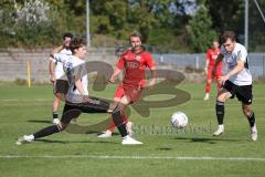 Bayernliga Nord - Saison 2023/2024 - FC Ingolstadt 04 - FC Coburg - Fabio Riedl rot FCI - Sebastian Zillig
 weiss links Coburg - Foto: Meyer Jürgen