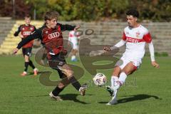 A-Junioren Bundesliga -  Saison 2026/27 - FC Ingolstadt 04 - VFB Stuttgart - Göbel Sam rot FCI - Mule Salvatore weiss Stuttgart -  Foto: Meyer Jürgen