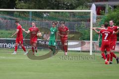 Landesliga - Saison 2024/25 - SV Manching - FSV Pfaffenhofen - Der 1:1 Ausgleichstreffer durch Jonas Redl rot Pfaffenhofen  - jubel-  - Pedro Da Silva Wiedl (Nr.18 - SV Manching) - Foto: Meyer Jürgen