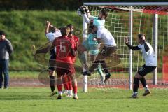 Kreisklasse - Saison 2024/25- SV Zuchering - FC Wackerstein/Dünzing - Ioannis Laios Torwart Zuchering  - Nizar Pöringer weiss Wackerstein  - Foto: Meyer Jürgen