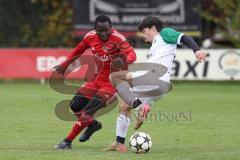 Kreisklasse - Saison 2025/26- Türk SV Ingolstadt - SV Lippertshofen - Ousseynou Tamba rot Türkisch  - Linus Pfaller weiss Lippertshofen - Foto: Meyer Jürgen