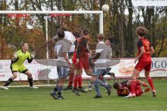 2023_11_5 - SV Kasing - TV Münchsmünster - Kreisliga - Saison 2023/24 -  Der 1:0 Führungstreffer durch - Martin Oblinger rot Kasing - jubel - Michael Baumgartner Torwart Münchsmünster -  Foto: Meyer Jürgen