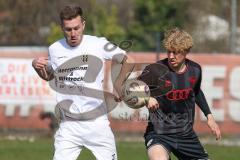 Bayernliga Nord - Saison 2025/26 - FC Ingolstadt 04 II - SpVgg Bayern Hof - Patrick Bachmann (Nr.8 - FC Ingolstadt II) - Niklas Stadelmann weiss Bayern Hof  - Foto: Meyer Jürgen