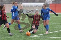 2. Bundesliga Frauen - Saison 2024/25 - FC Ingolstadt 04 Frauen - SV Meppen - Nina Penzkofer (Nr.29 - FCI Frauen) - XXXXX - Foto: Meyer  - Steenwijk Jenske blau Meppen - Farwick Thea Torwart Meppen