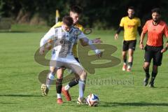 Kreisliga - Saison 2025/26- TSV Lichtenau - TSV Hohenwart - Mark Steingräber gelb Lichtenau - Andreas Widhopf weiss Hohenwart - Foto: Meyer Jürgen