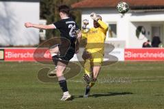 Landesliga - Saison 2025/26 - SV Manching - TSV Schwabmünchen - Torwart Thomas Obermeier (Nr.1 - SV Manching) - Gumpinger Richard schwarz Schwabmünchen - Foto: Meyer Jürgen