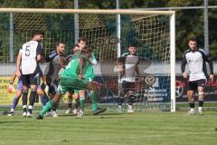 Bezirksliga - Saison 2025/26 - TSV Ober./Unterhaunstadt - SVA Palzing - Torwart Ali Cakmakci (Nr.1 - TSV Ober-/Unterh.stadt) - Enes  Erdogan (Nr.5 - TSV Ober-/Unterh.stadt) - Marcel Radlmaier grün Palzing - Foto: Meyer Jürgen
