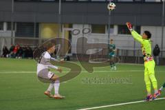 A-Junioren Bundesliga  - Saison 2024/25 - A-Junioren - FC Ingolstadt 04 - FC Augsburg - Alik Streck weiss FCI - Noah George Torwart Augsburg - Foto: Meyer Jürgen