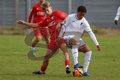 2023_10_21 - Saison 2023/24 - A-Junioren - FC Ingolstadt 04 - TSG 1899 Hoffenheim - Plath Max rot FCI - Onos Melvin weiss Hoffenheim - Foto: Meyer Jürgen