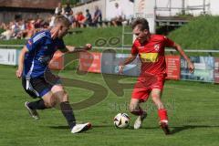 Kreisliga - Saison 2025/26- TSV Kösching - FC Mindelstetten - Michael Betz blau Mindelstetten - Benedikt Schneeberger rot Kösching - Foto: Meyer Jürgen