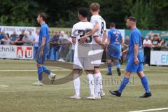 Toto - Pokal - Saison 2024/25 - DJK Hein - FC Ingolstadt 04 -  - Der 0:1 Führungstreffer durch Davide Sekulovic (Nr.33 - FCI) - jubel - Benjamin Kanuric (Nr.8 - FCI) - XXXXX - Foto: Meyer Jürgen