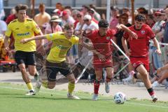 * Testspiel - Saison 2025/26 - FC Ingolstadt 04 - SpVgg Bayreuth - Patrick Scheder (Nr.8 - SpVgg Bayreuth) - Davide Sekulovic (Nr.33 - FC Ingolstadt 04) - Rexhepi Nuredin (Nr.45 - FC Ingolstadt 04) rechts - Foto: Meyer Jürgen