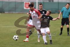 Kreisklasse - Saison 2024/25- Türk SV Ingolstadt - SV Stammham-  - Daniel Drotleff weiss Türkisch - Jonas Korn schwarz Stammham - Foto: Meyer Jürgen