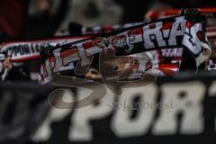 3. Liga; Erzgebirge Aue - FC Ingolstadt 04; Fan Fankurve Banner Fahnen Spruchband Ultra