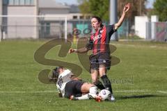 2. Bundesliga Frauen - Saison 2025/26 - FC Ingolstadt 04 Frauen - Borussia Mönchengladbach - Annika Kömm (Nr.25 - FC Ingolstadt Frauen I) - Celissen Elize weiss M`Gladbach  - Foto: Meyer Jürgen