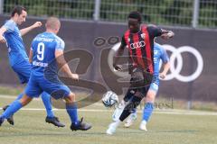 Bayernliga Nord - Saison 2024/25 - FC Ingolstadt 04 II - FC Münchberg - Jason Osei Tutu (Nr.11 - FCI U21) - Köhler Lucas blau Münchberg - Foto: Meyer Jürgen