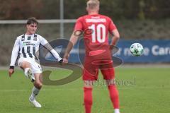 3. Liga; TSV Havelse - FC Ingolstadt 04; Elias Decker (4, FCI) Schumacher Kevin (10 TSV)