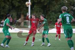 Landesliga - Saison 2024/25 - SV Manching - FSV Pfaffenhofen - Untersänger Maurice rot Pfaffenhofen - Dzenis Seferovic (Nr.6 - SV Manching) - Foto: Meyer Jürgen