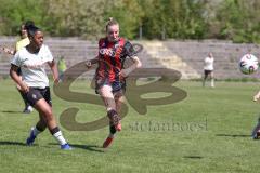 2. Bundesliga Frauen - Saison 2025/26 - FC Ingolstadt 04 Frauen - Borussia Mönchengladbach - Jenny Beyer (Nr.8 - FC Ingolstadt Frauen I) - Jones Baidoe  Lili Orchid Nancy weiss M`Gladbach  - Foto: Meyer Jürgen