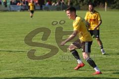 Kreisliga - Saison 2025/26- TSV Lichtenau - TSV Hohenwart - Marc Steingräber gelb Lichtenau mit dem 1:1 Ausgleichstreffer - jubel - Foto: Meyer Jürgen