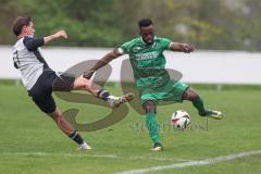 Bezirksliga - Saison 2025/26 - TSV Ober./Unterhaunstadt - FC Gerolfing - Amadeus Taubert grau Ober./Unterhaunstadt - Dissan Mutyaba grün Gerolfing - Foto: Meyer Jürgen