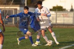 Bayernliga Nord - Saison 2025/26 - FC Ingolstadt 04 II - Würzburger FV - Mussa Tasim Nr.27 - FC Ingolstadt II) - Moritz Lotzen blau Würzburg mitte - Steffen Krautschneider blau Würzburg links - Foto: Meyer Jürgen