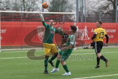 AUDI Amateuercup - Saison 2024/25 - TSV Lichtenau - FC Geisenfeld - Christian Kirzinger Torwart Lichtenau - Stefan Schmaizl grün Geisenfeld - Foto: Meyer Jürgen