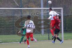 Bezirksliga - Saison 2024/25 - FC Fatih Ingolstadt - SpVgg Kammerberg -  Der 1:0 Führungstreffer durch - David Meier (Nr.14 - FC Fatih) - jubel - Haris Cehic Torwart Kammerberg - Daniel Seybold rot Kammerberg #4 - Foto: Meyer Jürgen