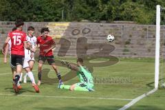 A-Junioren - DFB Pokal  - Saison 2024/25 - A-Junioren - FC Ingolstadt 04 - Hannover 96 - Der 1:0 Führungstreffer durch Drakulic Ognjen weiss FCI der den Ball über Torwart Schwanke Jonas Hannover lupft - jubel - XXXXX - XXXXX - Foto: Meyer Jürgen