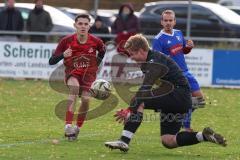 Kreisliga - Saison 2025/26- TSV Kösching - SV Zuchering - Jonas Betz blau Kösching - Leander Friedl rot Zuchering mit dem 0:1 Führungstreffer - jubel - Michael Zimmermann Torwart Kösching - Foto: Meyer Jürgen