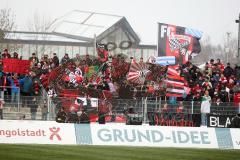 3.Liga - FC Ingolstadt 04 - Erzgebirge Aue - 5:1 - Fans Fahnen Jubel