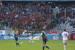 2. BL - FC Ingolstadt 04 - 1860 München 1:1 - Ingolstädter Fans Jubel Fahnen