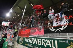 2. BL 2014 - FC Ingolstadt 04 - 1860 München - 2:0 - Sieg im Derby