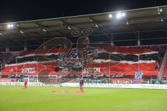 2. BL  - Saison 2013/2014 - FC Ingolstadt 04 - 1.FC Kaiserslautern - Fan Choreographie von Ingolstadt vor dem Spiel