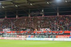 2. BL  - Saison 2013/2014 - FC Ingolstadt 04 - 1.FC Kaiserslautern - FC IN Fans mit Sternwerfern