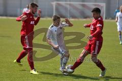 Regionalliga Süd - FC Ingolstadt 04 II - TSV 1860 Rosenheim - mittig Philipp Breuer im Sturm