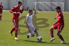 Regionalliga Süd - FC Ingolstadt 04 II - TSV 1860 Rosenheim - mittig Philipp Breuer im Sturm