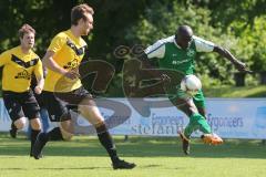 Landesliga Südwest - SV Manching - TSV Ottobeuren - rechts Stive Hogmeni im Vorwärtsgang