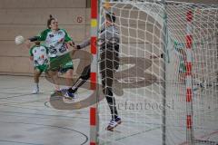 Handball - Bezirksliga - Saison 2026/27 - HC Donau/Paar - TSV Gaimersheim - Haye Jonas grün Gaimersheim - Bleicher Michael TW HC Donau/Paar  -  Foto: Meyer Jürgen