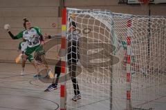 Handball - Bezirksliga - Saison 2026/27 - HC Donau/Paar - TSV Gaimersheim - Haye Jonas grün Gaimersheim - Bleicher Michael TW HC Donau/Paar  -  Foto: Meyer Jürgen
