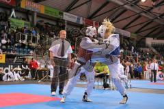 Deutsche Meisterschaft Taekwondo 2013 in Ingolstadt