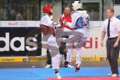 Deutsche Meisterschaft Taekwondo 2013 in Ingolstadt