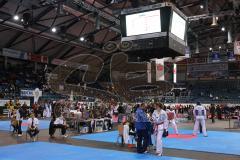 Deutsche Meisterschaft Taekwondo 2013 in Ingolstadt