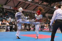 Deutsche Meisterschaft Taekwondo 2013 in Ingolstadt