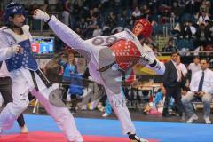 Deutsche Meisterschaft Taekwondo 2013 in Ingolstadt