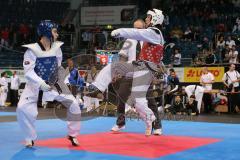 Deutsche Meisterschaft Taekwondo 2013 in Ingolstadt