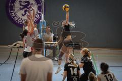 Bayernliga - Volleyball Frauen - Saison 2026/27 - MTV Ingolstadt - Niederviehbach  - Maul Alexia schwarz MTV Ing - Foto: Meyer Jürgen