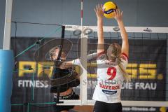Bayernliga - Volleyball Frauen - Saison 2026/27 - MTV Ingolstadt - Niederviehbach  - Londra Giulia schwarz MTV Ing - Foto: Meyer Jürgen