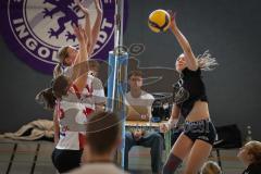 Bayernliga - Volleyball Frauen - Saison 2026/27 - MTV Ingolstadt - Niederviehbach  - Maul Alexia schwarz MTV Ing - Foto: Meyer Jürgen