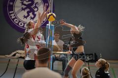 Bayernliga - Volleyball Frauen - Saison 2026/27 - MTV Ingolstadt - Niederviehbach  - Maul Alexia schwarz MTV Ing - Foto: Meyer Jürgen